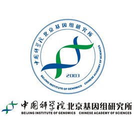 图片显示不正确